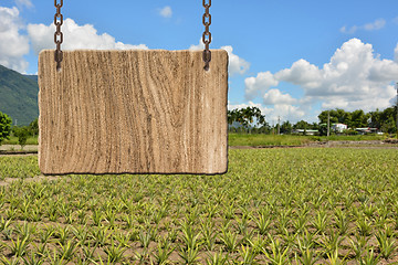 Image showing Blank wooden sign