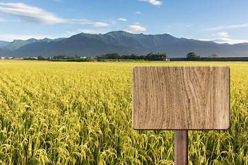 Image showing Blank wooden sign