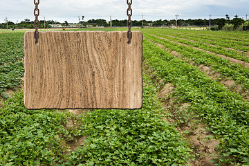 Image showing Blank wooden sign