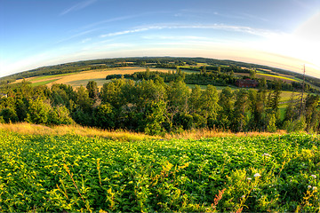 Image showing Landscape