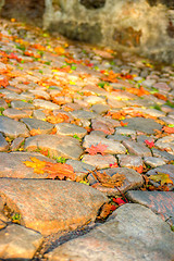 Image showing Cobblestones