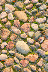 Image showing Cobblestones