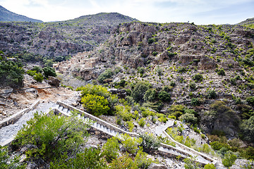 Image showing Oman Wadi Bani Habib