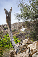 Image showing Mosque Saiq Plateau