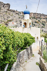 Image showing Mosque rose cultivation Saiq Plateau