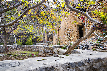 Image showing Ruins Wadi Bani Habib