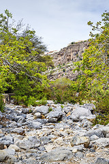 Image showing Riverbed Wadi Bani Habib