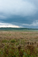 Image showing Wasteland