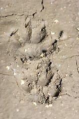 Image showing Footprint