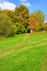 Image showing Autumn colors