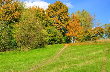 Image showing Fall colors