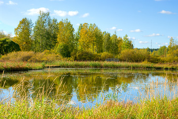 Image showing Pond