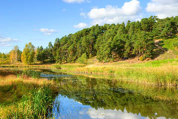 Image showing Side by river