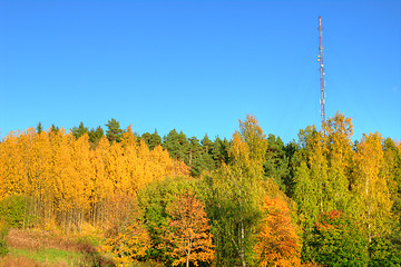 Image showing Radio antenna