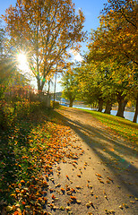 Image showing Fall colors