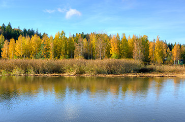 Image showing Autumn colors