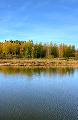 Image showing Fall colors