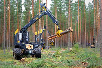 Image showing Ponsse Buffalo Forwarder in a Work Demo