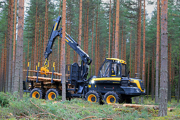 Image showing Ponsse Forwarder Buffalo at Work