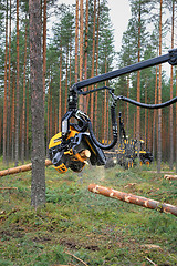 Image showing Ponsse Harvester Head Cutting Wood