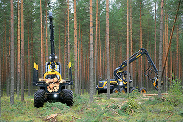 Image showing Ponsse Forwarder and Harvester Working in Forest