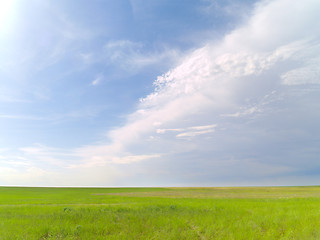 Image showing summer landscape