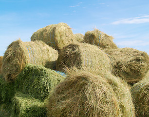 Image showing hay bales