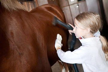 Image showing girl cleaning horse