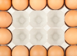 Image showing Chicken eggs frame