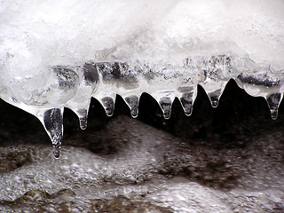 Image showing icesucks