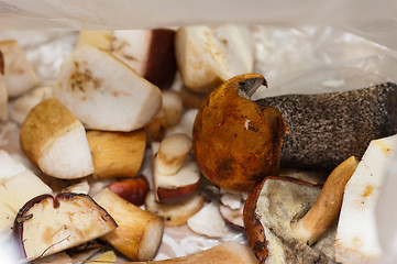 Image showing Mushrooms