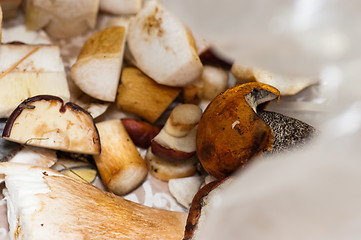 Image showing Mushrooms