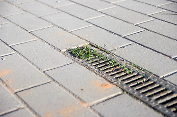 Image showing Grating