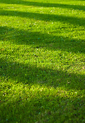 Image showing Lawn