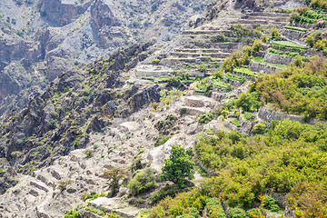 Image showing Oman Saiq Plateau