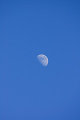 Image showing Half moon