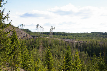 Image showing Landscape