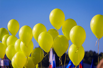 Image showing The yellow rubber balloons filled with gas against the blue sky.