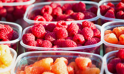 Image showing Raspberries in containers for sale.