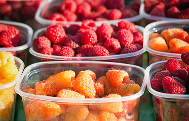 Image showing Raspberries in containers for sale.