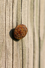 Image showing Rusted pin