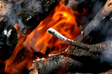 Image showing Fire