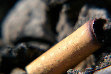 Image showing Cigarette end