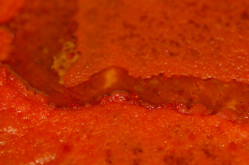 Image showing Marinade