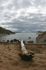 Image showing Swimming spot