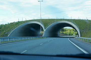 Image showing Tunnels