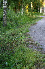 Image showing Dirt road