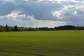 Image showing Countryside