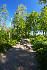 Image showing Dirt road