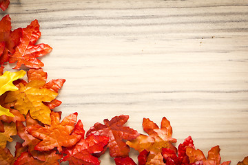 Image showing foliage, autumn leaves